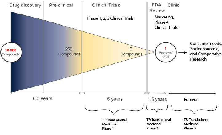 Drug Discovery graphic Where translational medicine fits in drug discovery and societal health impact