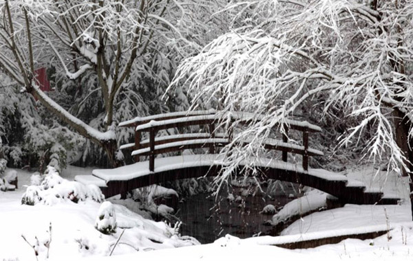 bridge Bridge to Hope
