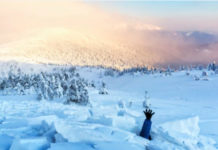 My Diagnosis of ADHD and the Downfall That Followed avalanche