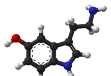 How Do Antidepressants Really ‘Work’?