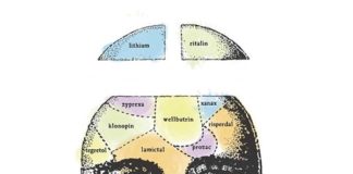 Antidepressants Often Prescribed to Enforce Heteronormativity, Study Concludes