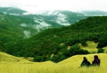 “Is Time Outdoors the Key to Helping Veterans Overcome PTSD?”