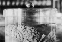 Debunking Myths About Creativity and the Brain