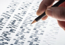 Personalized Medicine may Treat Rather Than Prevent Diseases