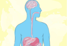 Gut Feelings on Parkinson’s and Depression