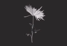 Healing from Psychiatry: A Community Art Book