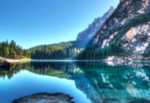 Why Nature is Good for Your Mental Health