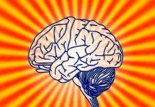 Political Neuroscience: “Growth Mindsets” and Disability