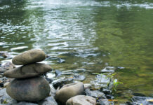 Three Suicides: Honoring Lives Lost to Benzodiazepines