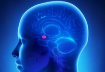 Bipolar Disorder: Childhood Trauma Modulates Impact