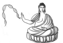 Science is Catching Up to the Buddha