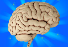 Low-Carbohydrate Diet Superior to Antipsychotic Medications