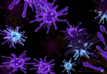 How Your Germs Control Your Politics