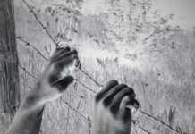 Creeping Fascism: University “Unfit to Study” Policies fascism