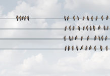 If “Mental Illnesses” Aren’t Real Illnesses, What Are They? birds on a wire