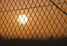 Life Sentence: Life Behind the Bars of the Mental Health System