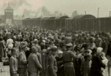 Psychiatry’s Little Known Role in Creating the Holocaust