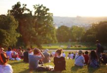 Experts Stress Importance of Social Networks for Psychosis and Bipolar Interventions