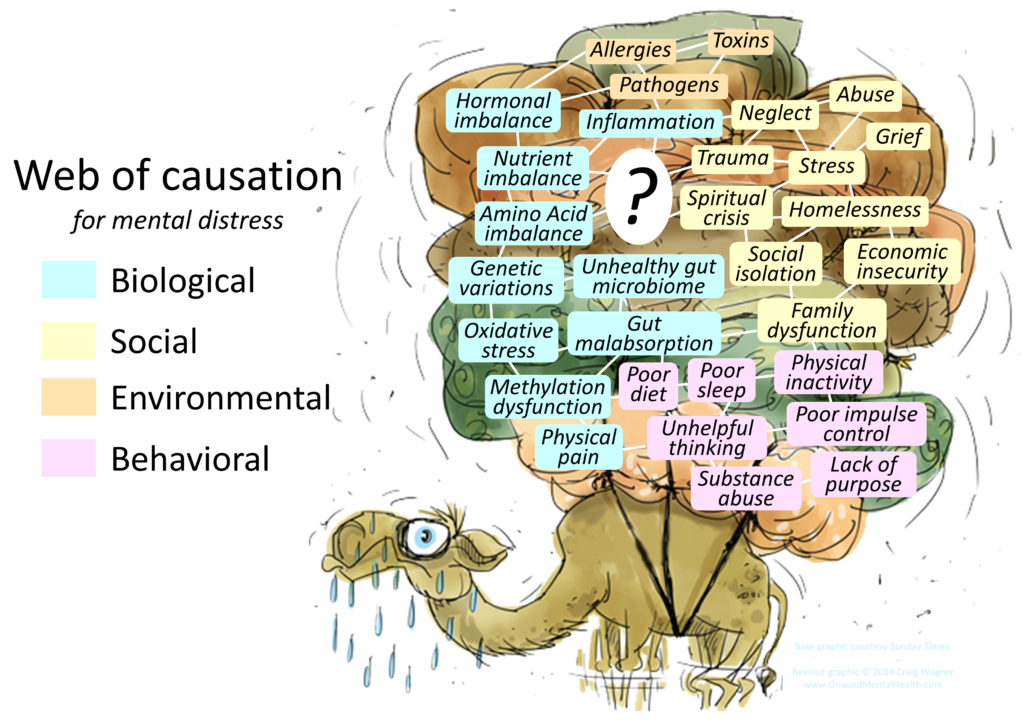 Causes and Influencers