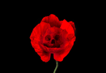 The Poison We Pick