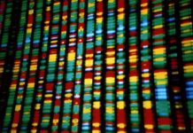 Direct-to-Consumer Genetic Testing is Often Wrong