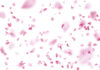 Blossom by Ashleigh