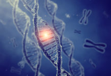 Debunking The Latest Gene Study genetic code