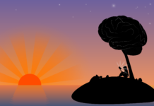 Social Scientists Question Growing Neuro Discourse