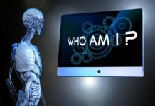 Questioning the Philosophical Assumptions of Neuroscience Research