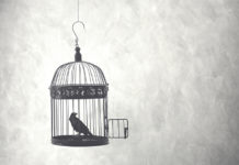 Escaping from AOT: Letter to the Judge escape from AOT birdcage