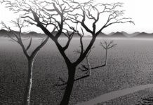 A Time For Rain: Teaching Our Children About Sadness time for rain