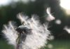 Letting Go by Ashleigh