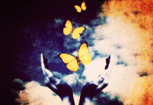 A Healing Journey: Leaving Psychiatry Behind butterflies healing