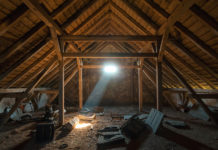 Fighting for the Freedom to Hear Voices hearing voices attic