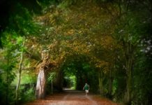 Are Depression Guidelines Missing the Evidence for Exercise?