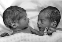 Bad-Science Warning: The “Minnesota Study of Twins Reared Apart” (MISTRA) twins