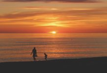 Reclaiming Humanity at the Dawn of Posthumanism: Conversation with Darcia Narvaez humanity at the dawn of posthumanism