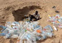 More Research Needed on Climate Change-Related Ecological Grief