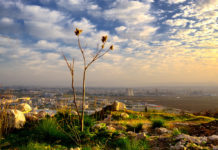 How Community Environments Impact Mental Health
