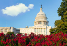 Congress Holds Historic Hearing on Childhood Trauma
