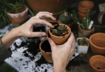 Psychiatrist Offers Ecological Model for Psychotherapy