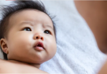 Infancy and Early Childhood Matter So Much Because of Attachment