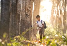 Dog Assisted Psychotherapy Most Effective With Children