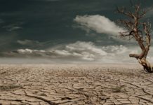 Loneliness Increases Risk of Severe ‘Common Mental Disorders’