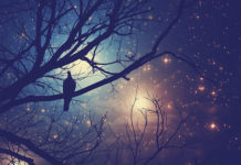 The Darker the Night, the Brighter the Light: Five Lessons Learned This Month dark night wisdom emotional release