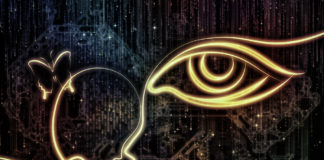 Chasing that Elusive Insight insight