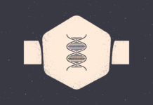 Kicking Over a Straw Woman DNA symbol