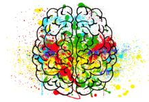 “We See With Our Brains, Not With Our Eyes”