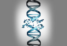Behavioural Geneticist Robert Plomin: “There Are No Disorders, There Are Just Quantitative Dimensions” biogenetic