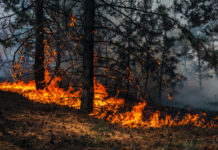 Will the Mental Health Industry Undermine the Community-Based Climate Change Revolution?